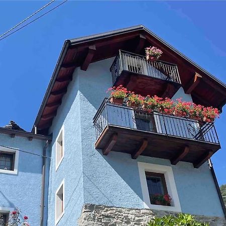 Casa Del Cios Calda E Intima Casetta Immersa Nel Verde Delle Montagne Alpe Basciumo Exteriér fotografie