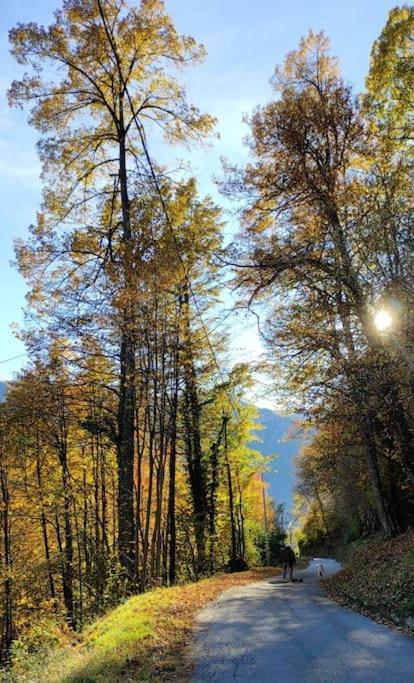 Casa Del Cios Calda E Intima Casetta Immersa Nel Verde Delle Montagne Alpe Basciumo Exteriér fotografie