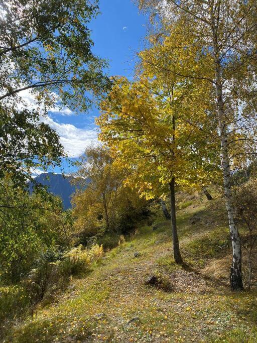 Casa Del Cios Calda E Intima Casetta Immersa Nel Verde Delle Montagne Alpe Basciumo Exteriér fotografie