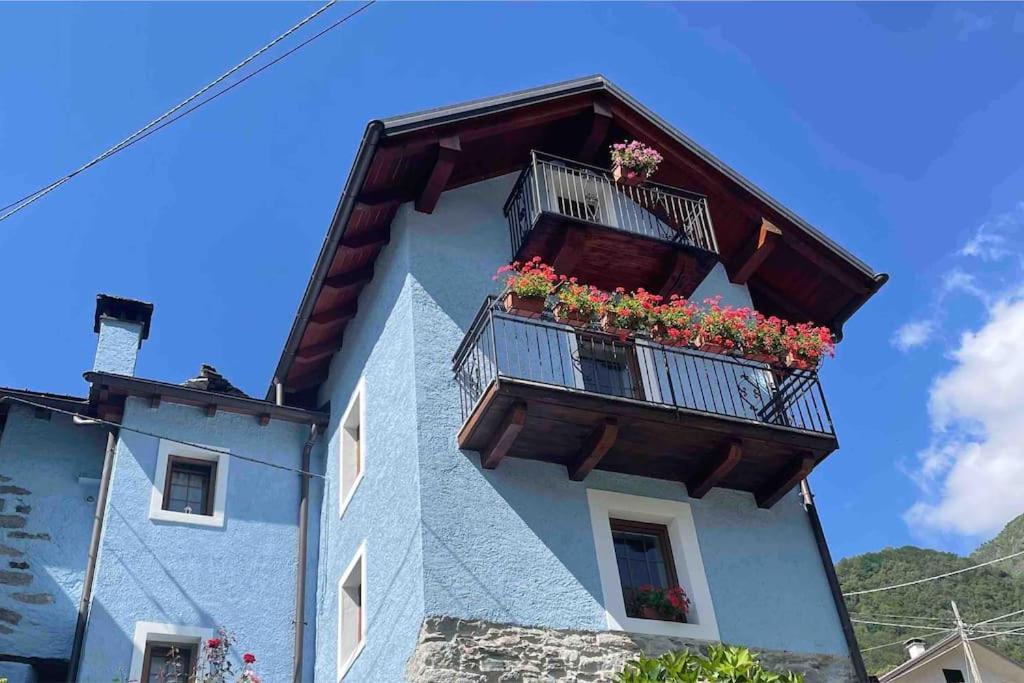 Casa Del Cios Calda E Intima Casetta Immersa Nel Verde Delle Montagne Alpe Basciumo Exteriér fotografie