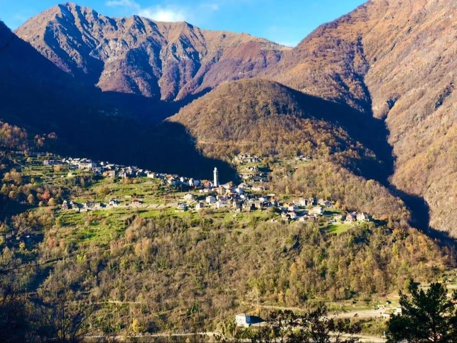 Casa Del Cios Calda E Intima Casetta Immersa Nel Verde Delle Montagne Alpe Basciumo Exteriér fotografie
