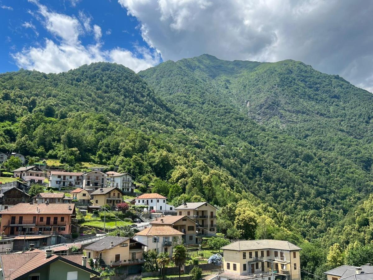 Casa Del Cios Calda E Intima Casetta Immersa Nel Verde Delle Montagne Alpe Basciumo Exteriér fotografie
